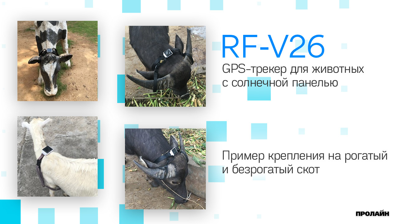 GPS-трекер для животных с солнечной панелью RF-V26